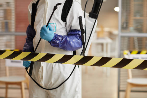 Professional Odor Removal technician working in La Ward, TX