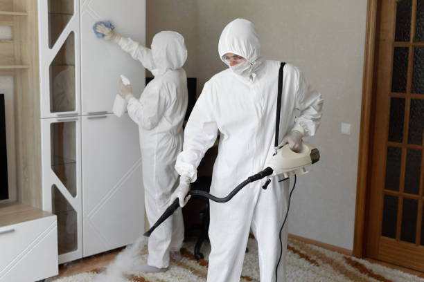 24/7 Emergency Odor Removal experts in La Ward, TX